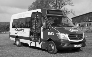 Mercedes Benz Sprinter 413 CDI <p>13 Sitzplätze, 12 Stehplätze im Linienverkehr, 1 Kinderwagen-/Rollstuhlplatz, Rollstuhlrampe, Klimaanlage</p>